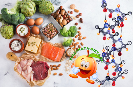 белок, белковые продукты